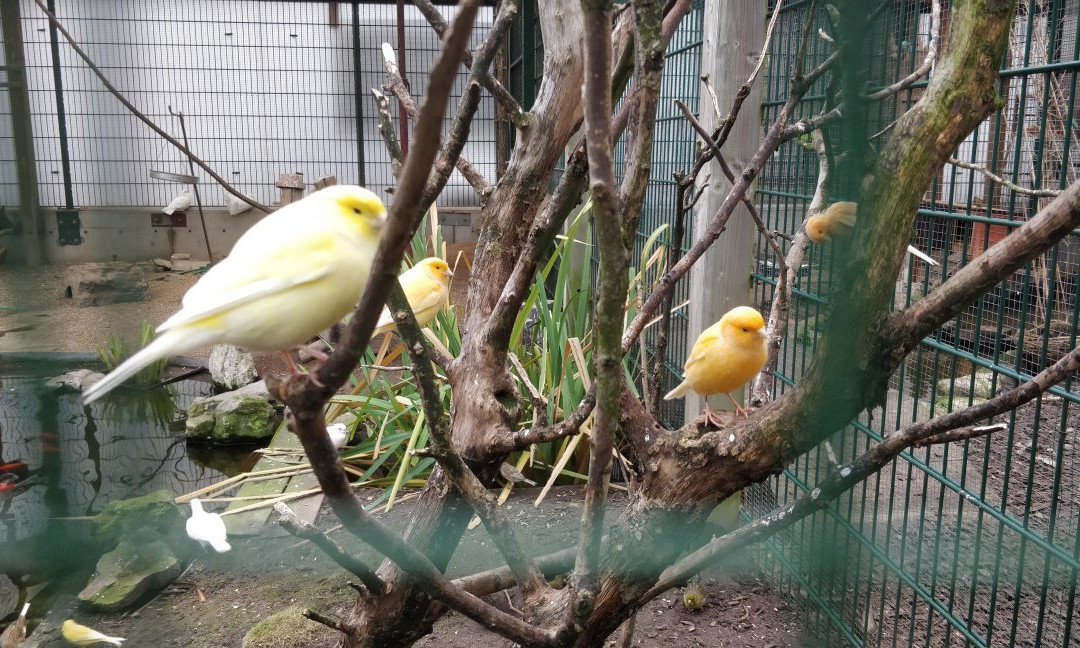Roodebeekpark-Woluwe-Saint-Lambert必去景点
