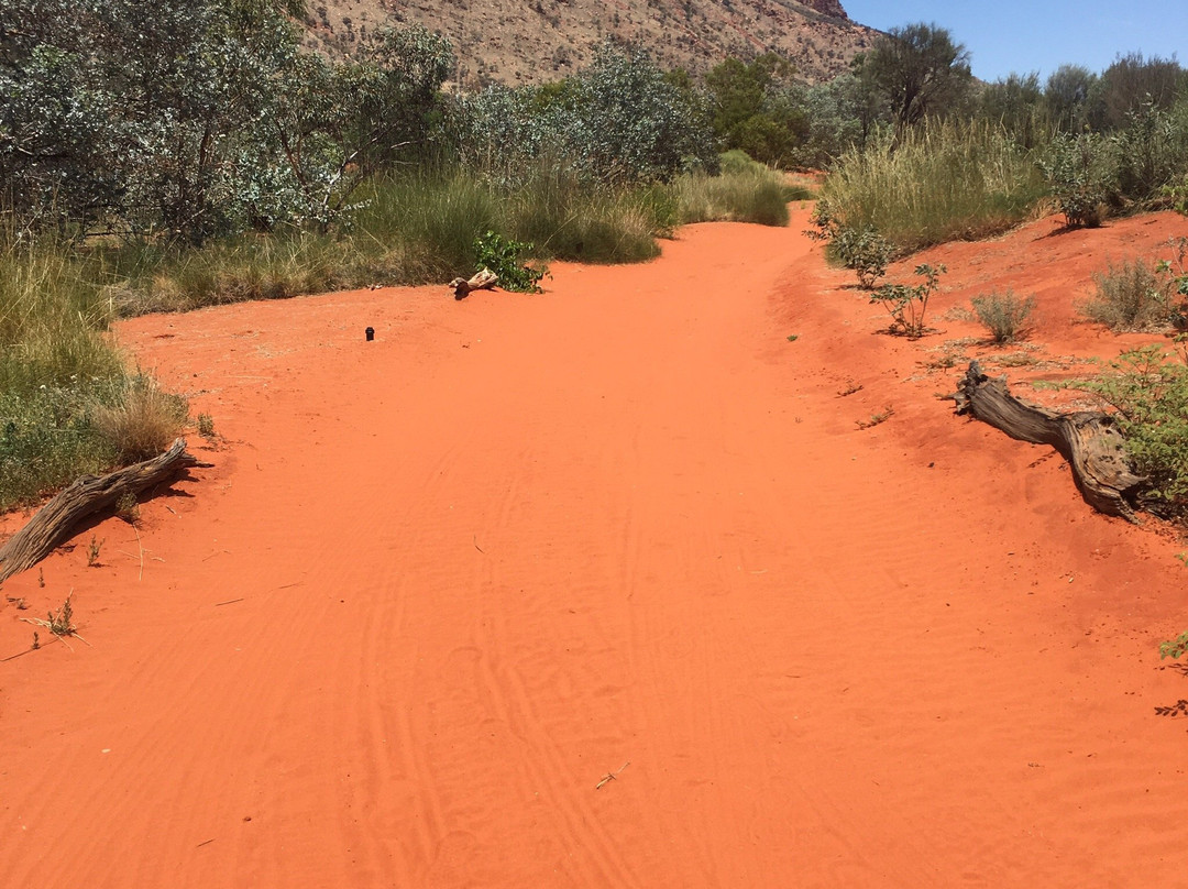 Alice Springs Desert Park景点图片
