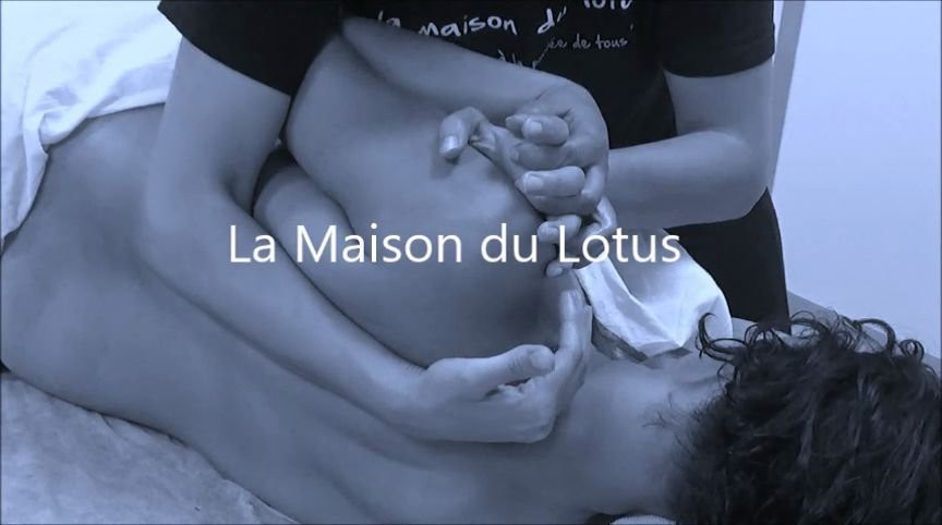 La Maison du Lotus景点图片