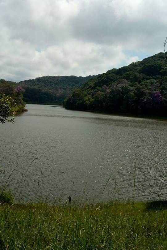 Parque Natural do Pedroso景点图片