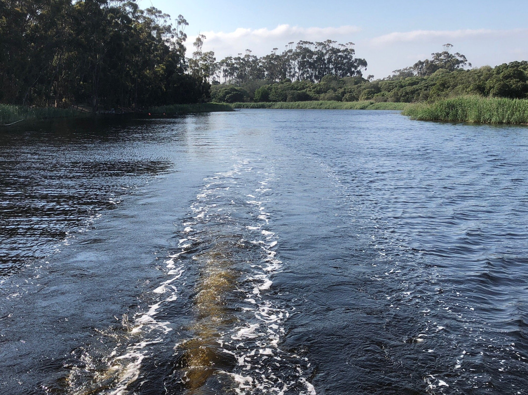 Stanford River Cruises Lady Stanford-斯坦福必去景点