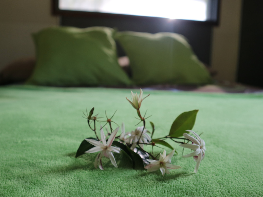 Lezard Home Guesthouse主图