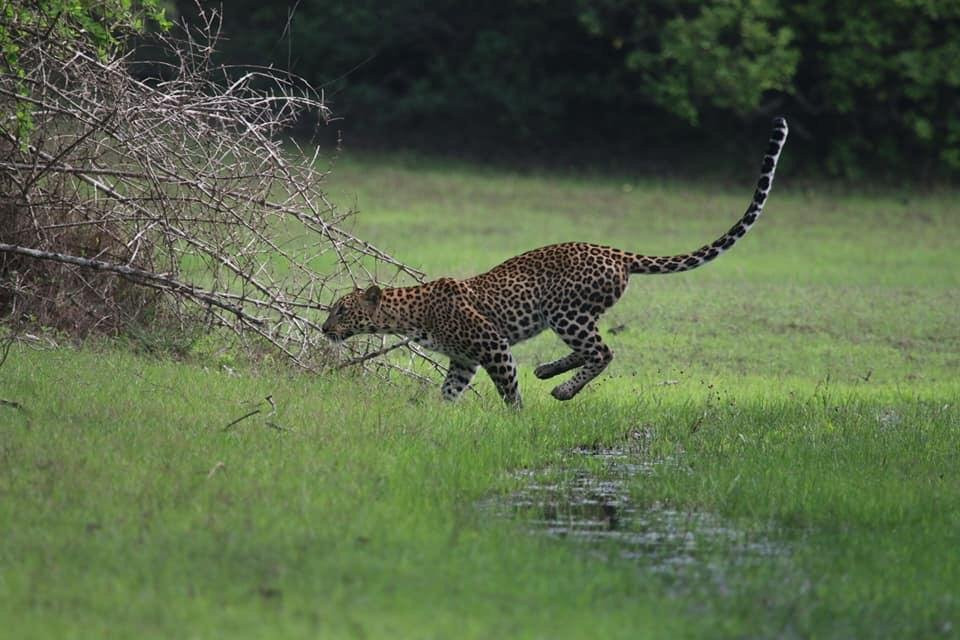 Ajith Diamond Tours-Hambantota必去景点