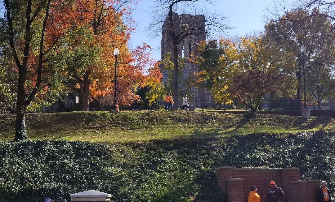 University of Tennessee景点图片