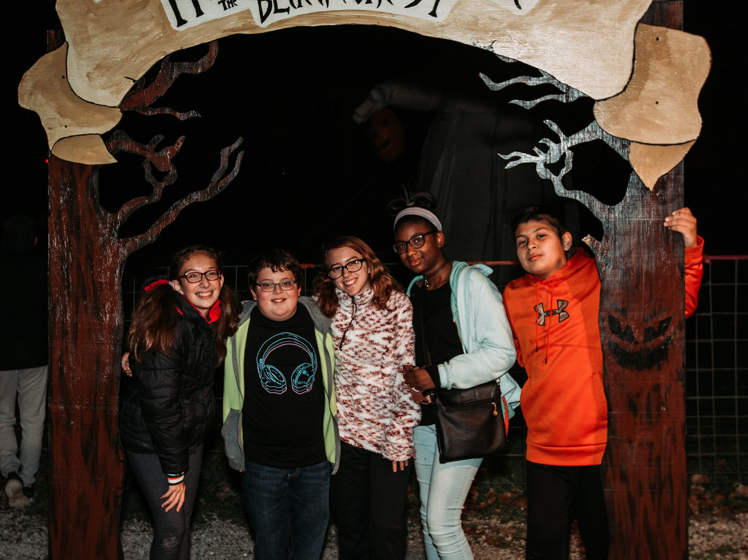 The Haunted Castle and Black Forest-韦恩堡必去景点