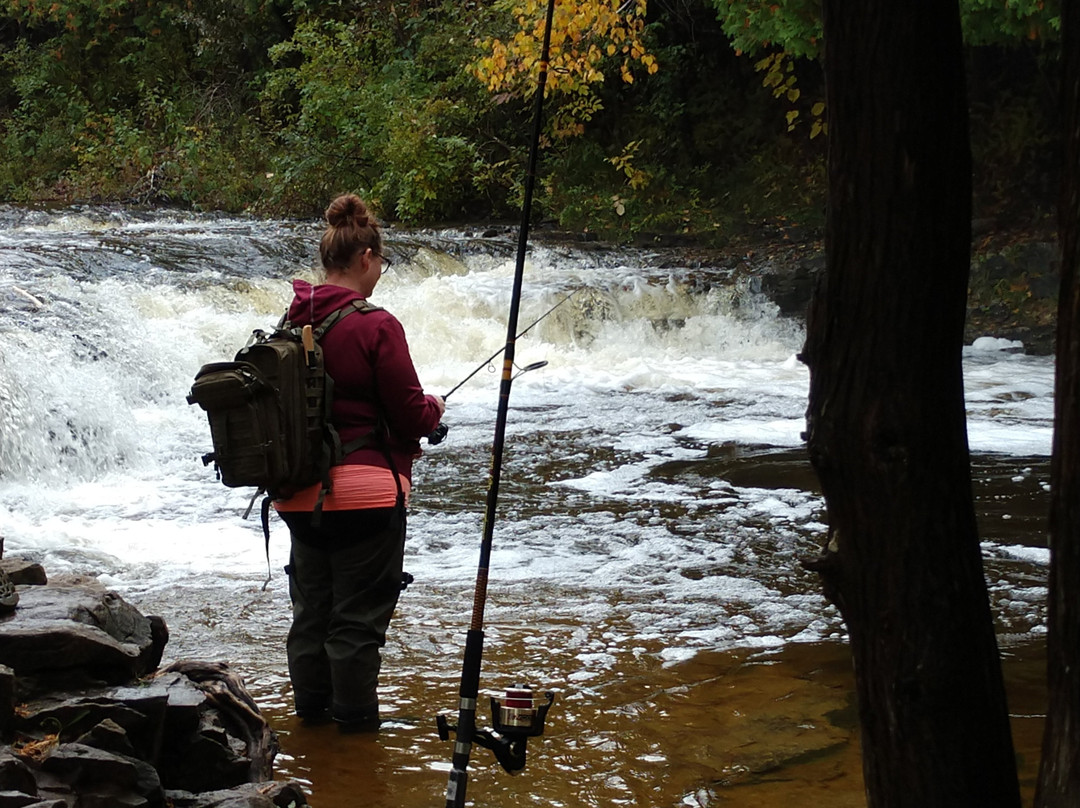 Driftwood Motel主图