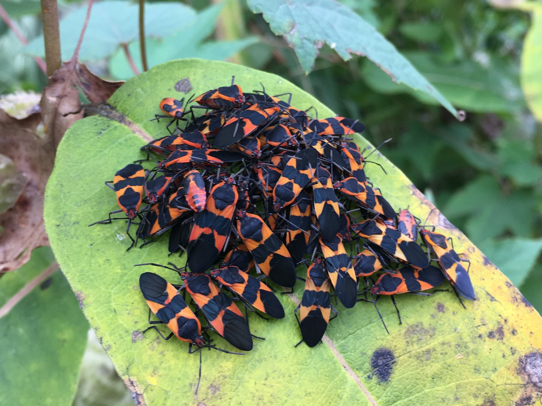 Marine Nature Study Area-Oceanside必去景点