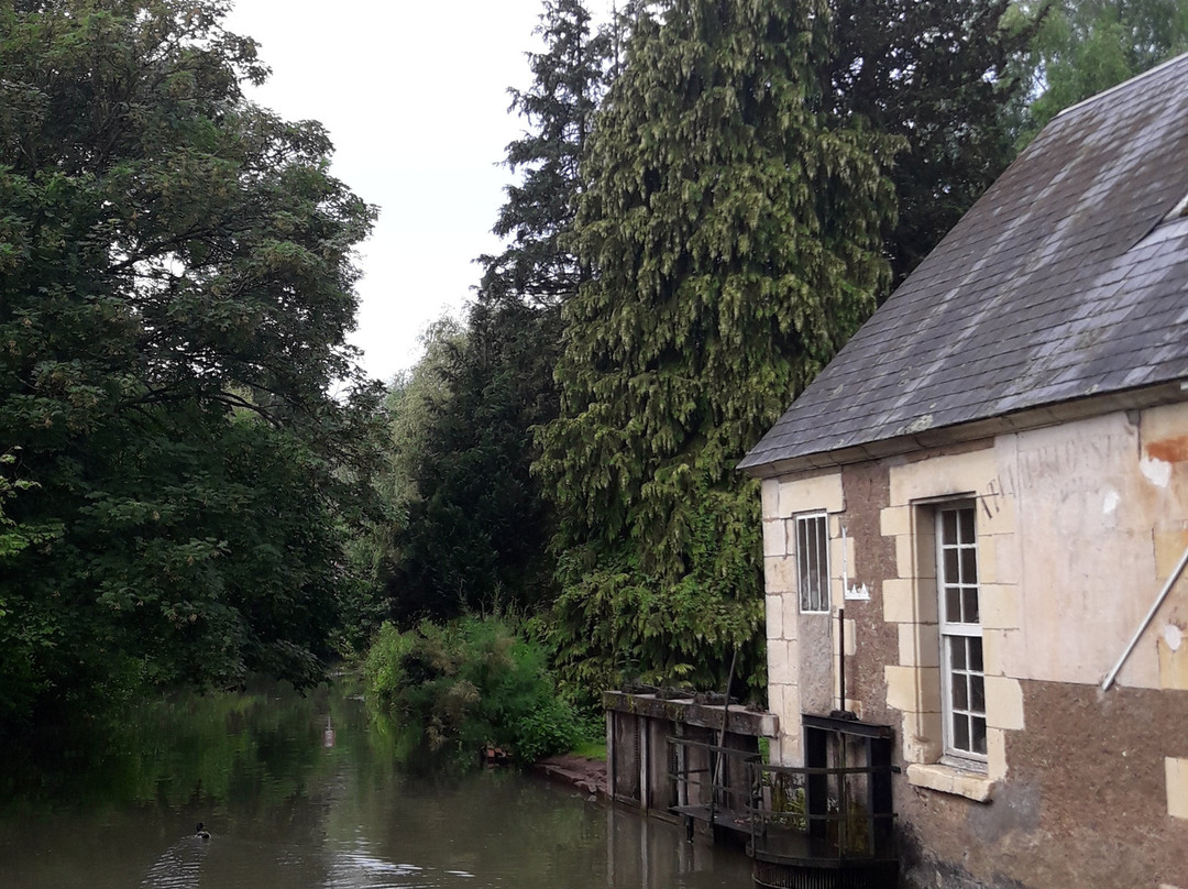 Huilerie du Moulin de l’Ile景点图片