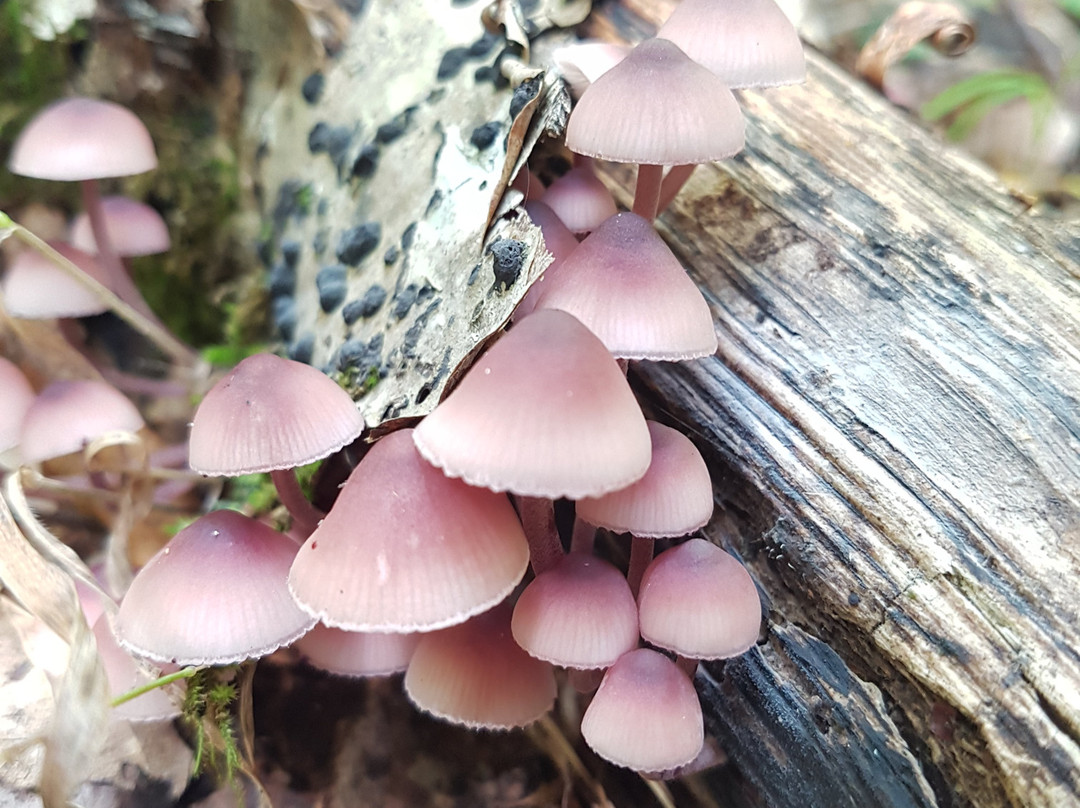 Cairn Expe-尼斯必去景点