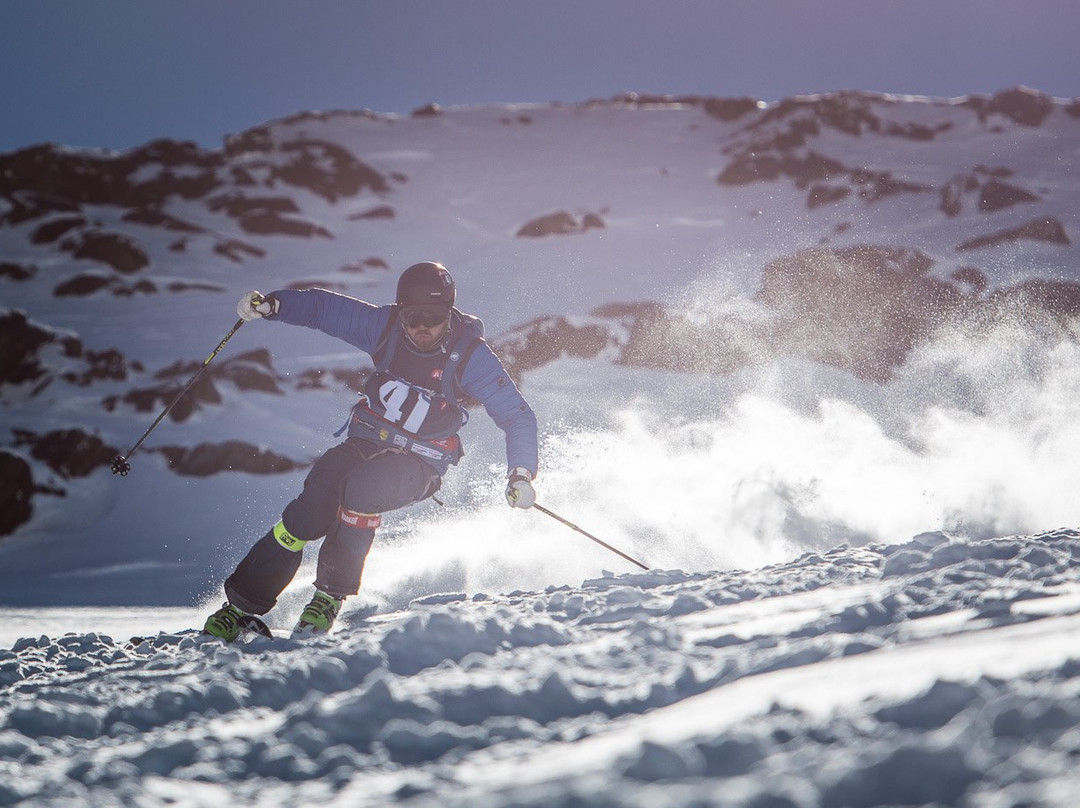 Pension Dorfplatzl主图