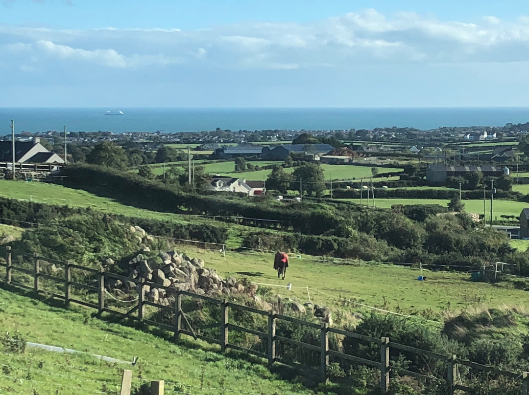 Leitrim Hill Bed & Breakfast主图