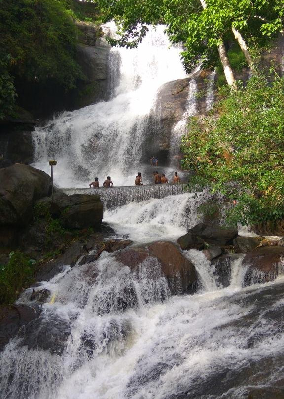 Areeckal Waterfalls景点图片