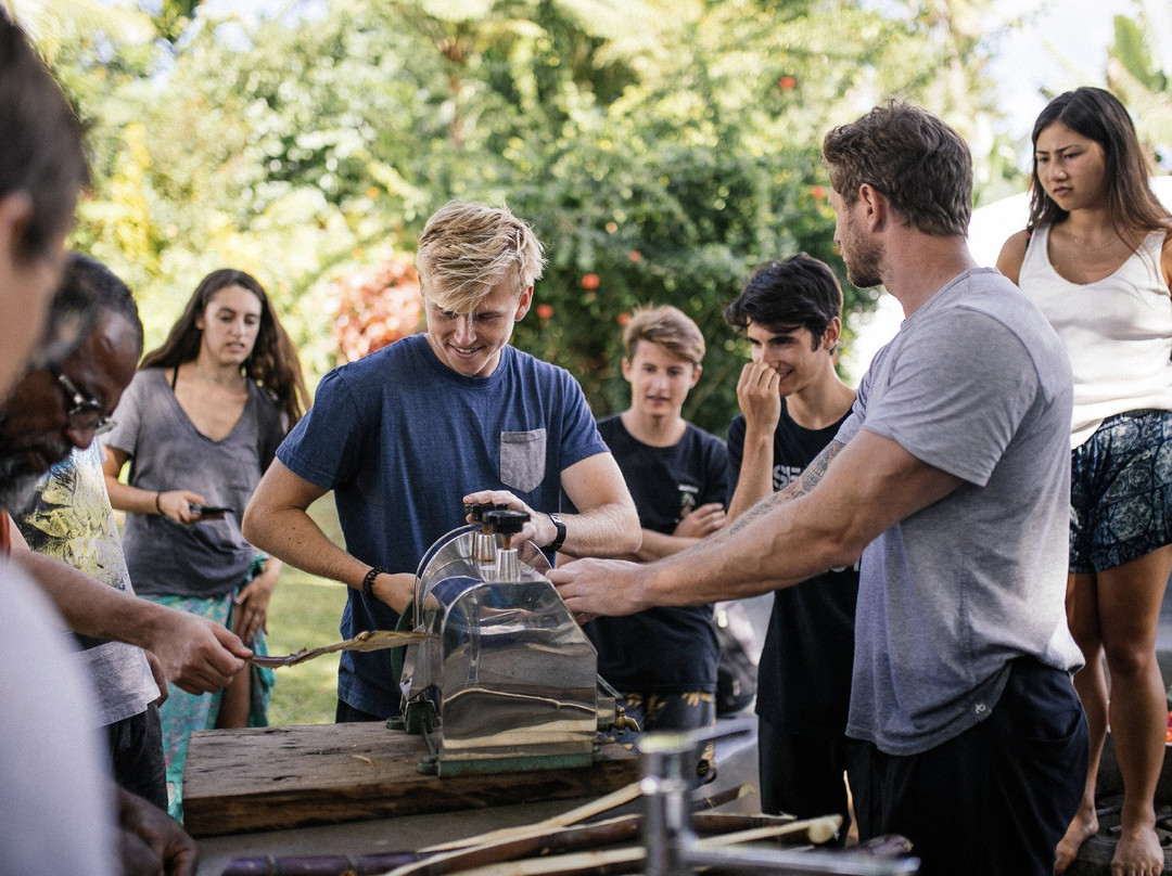 Gaiatree Sanctuary-塔韦乌尼岛必去景点