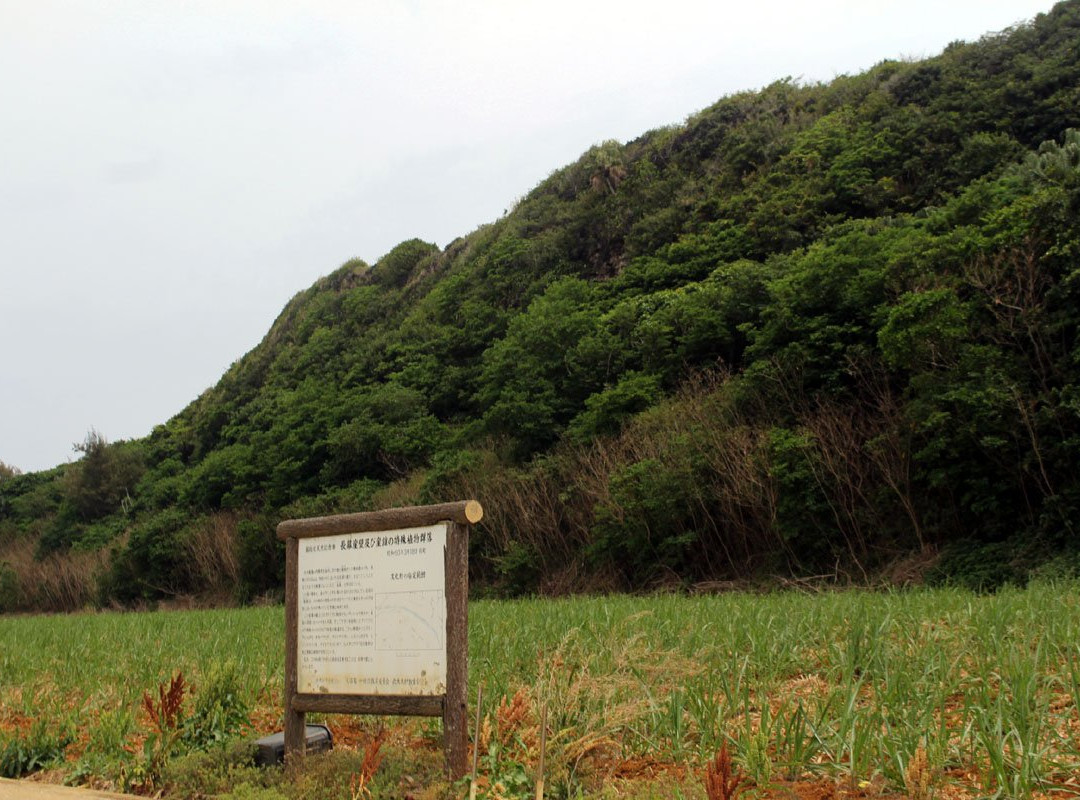 Nagahagu (Gaiheki Oyobi Gaisui no Tokushu Shokubutsugunraku)景点图片