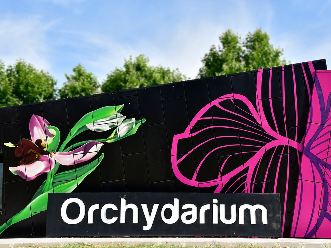 Centro de Interpretacion de la Orquidea Orchydarium景点图片