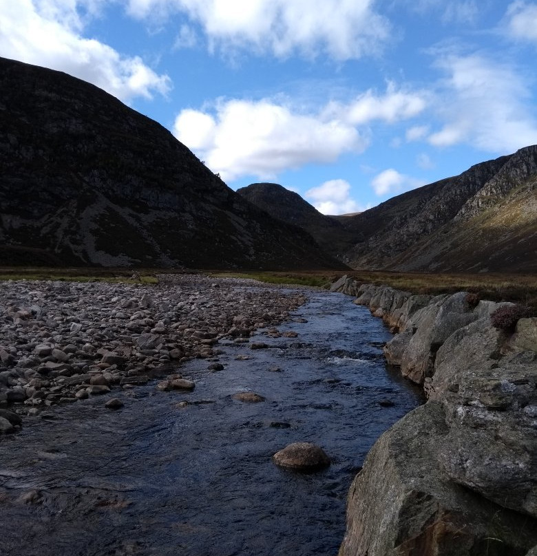 Glen Esk Wild Life Tours景点图片