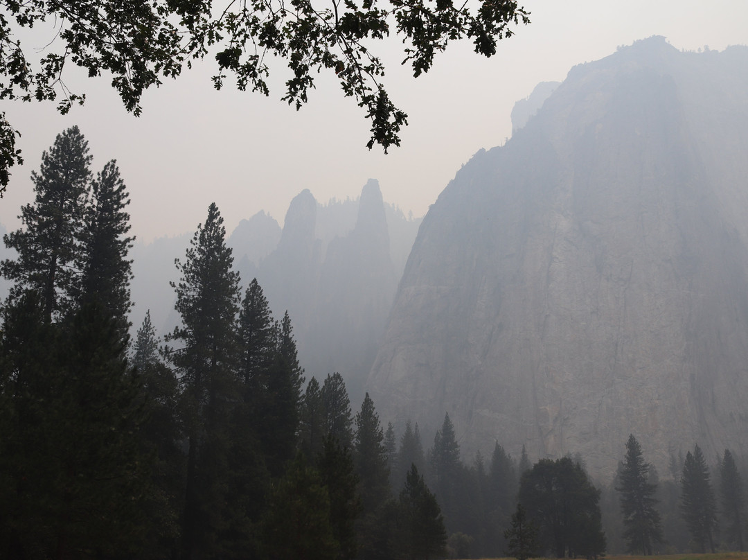 Cathedral Rocks and Spires-优胜美地国家公园必去景点