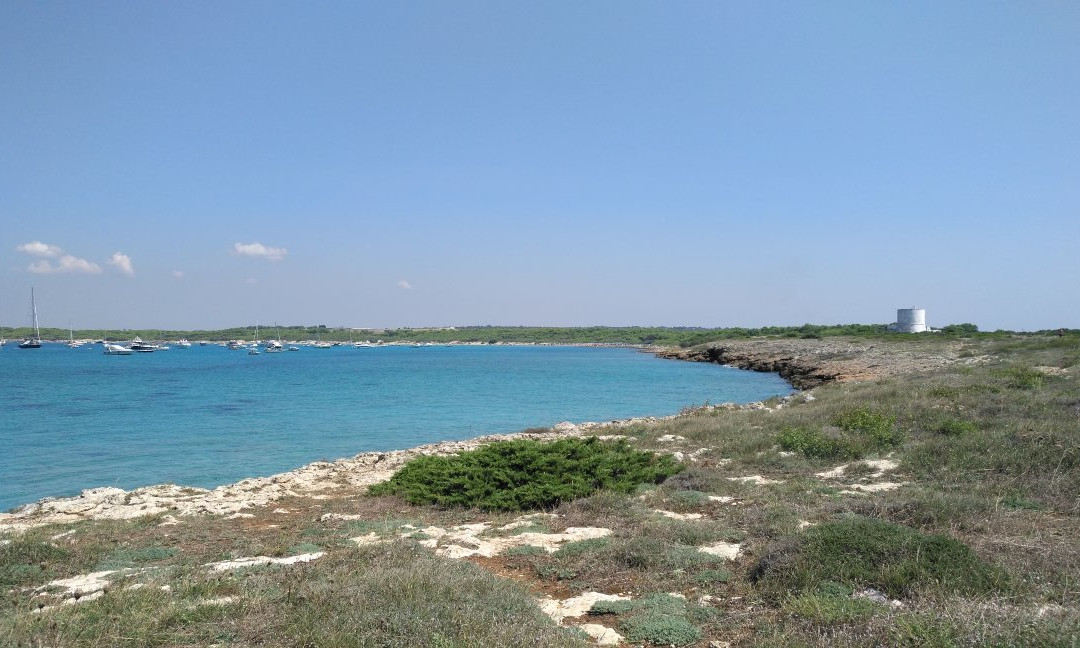 Parco Naturale Regionale Isola di S.Andrea e Litorale di Punta Pizzo,