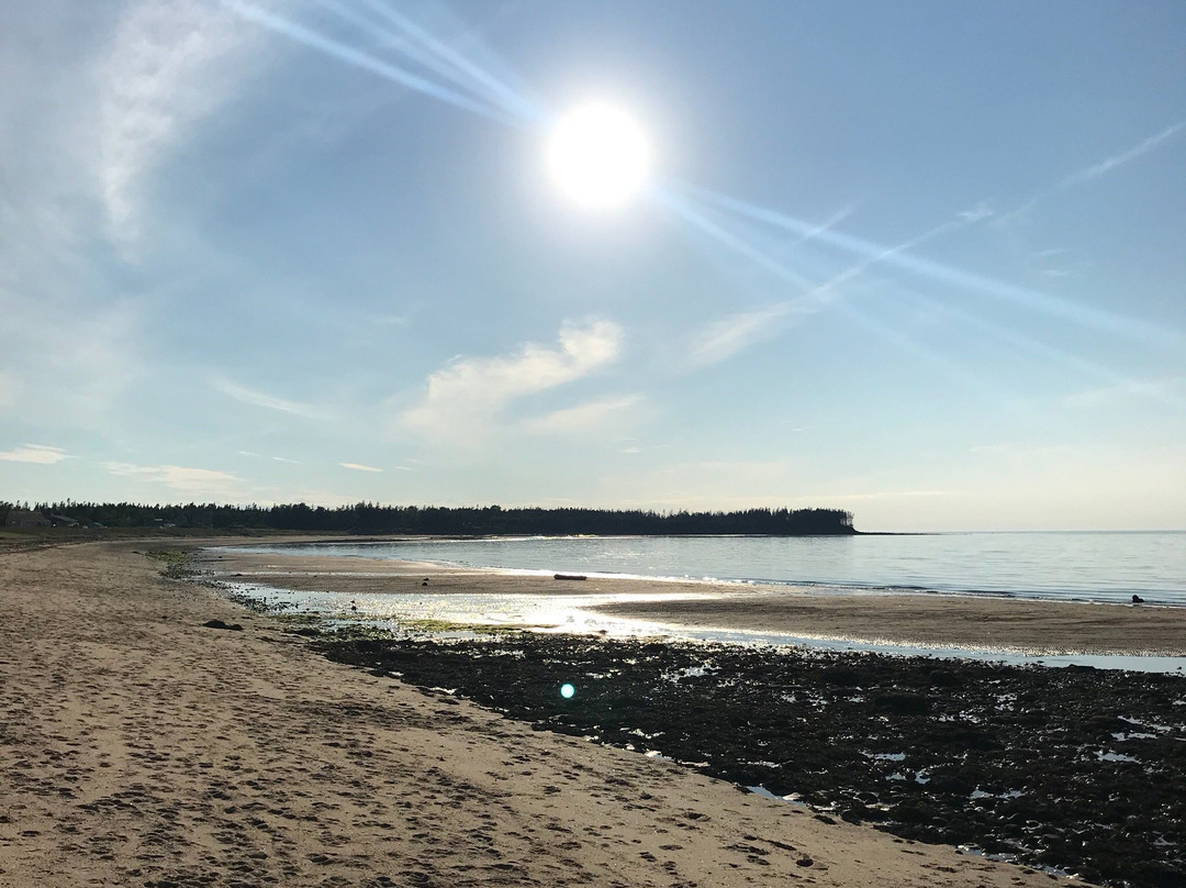 Caribou Island-Pictou必去景点