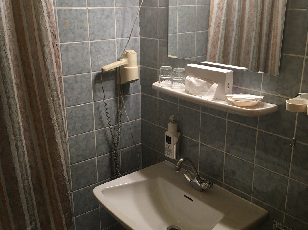 布纳塔斯塔德特酒店主图