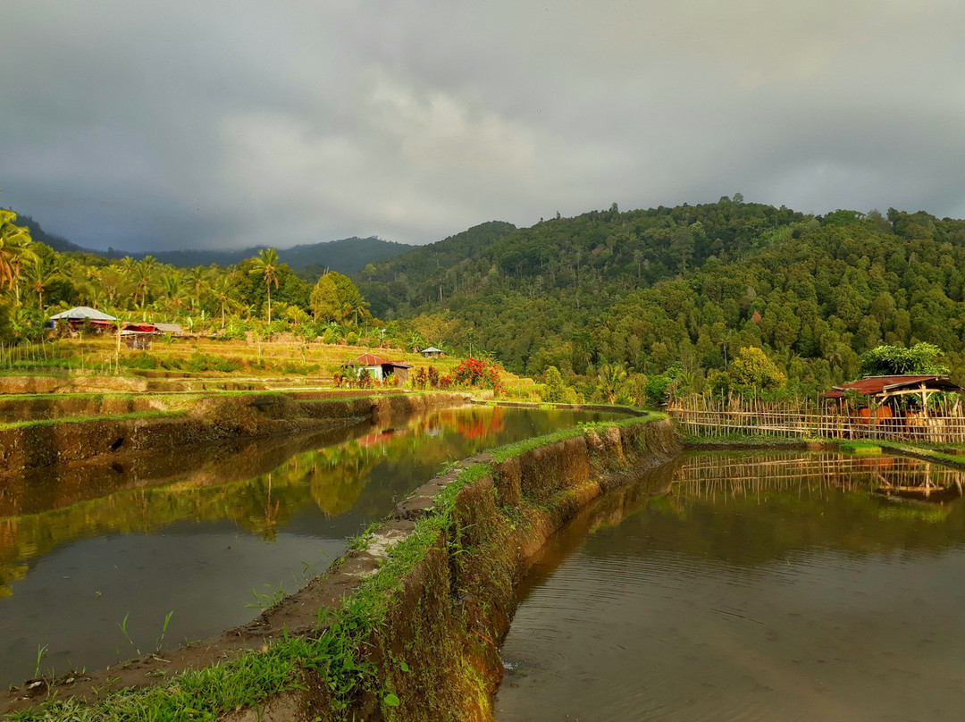 Melanting Cottages & Restaurant主图