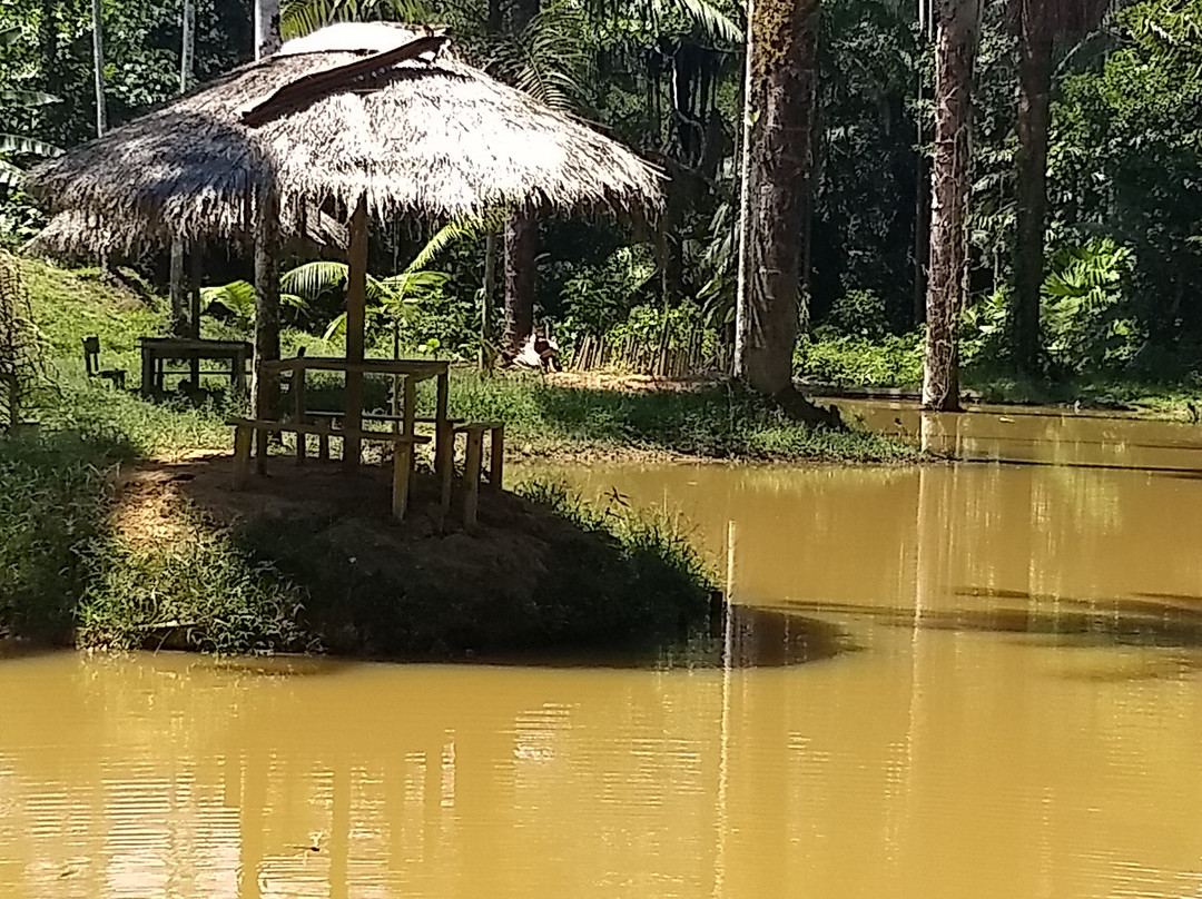 El Jardin de la Victoria Regia景点图片