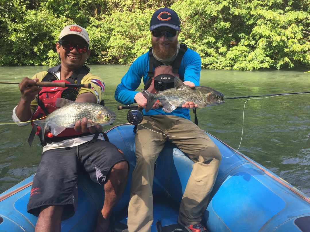 Fly Fish in Costa Rica-圣何塞必去景点
