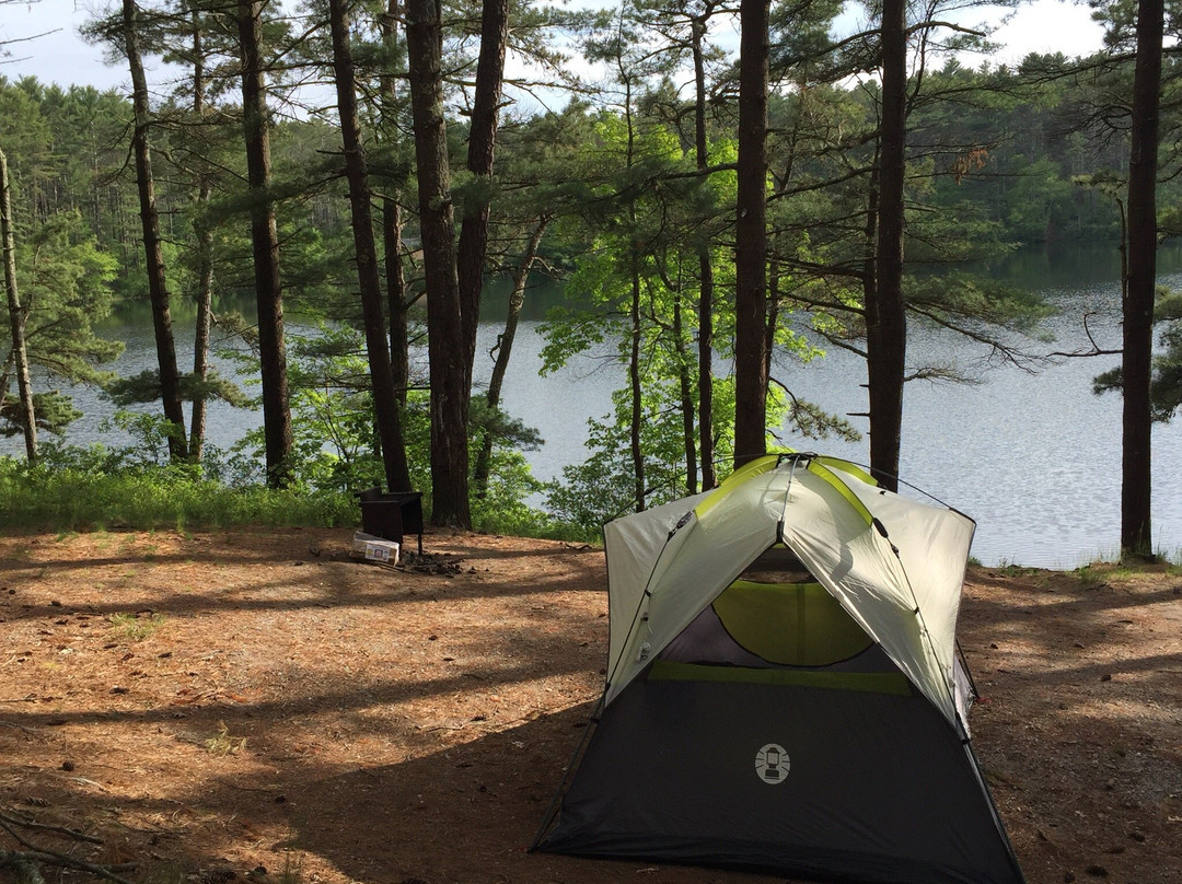 Myles Standish State Forest-普利茅斯必去景点