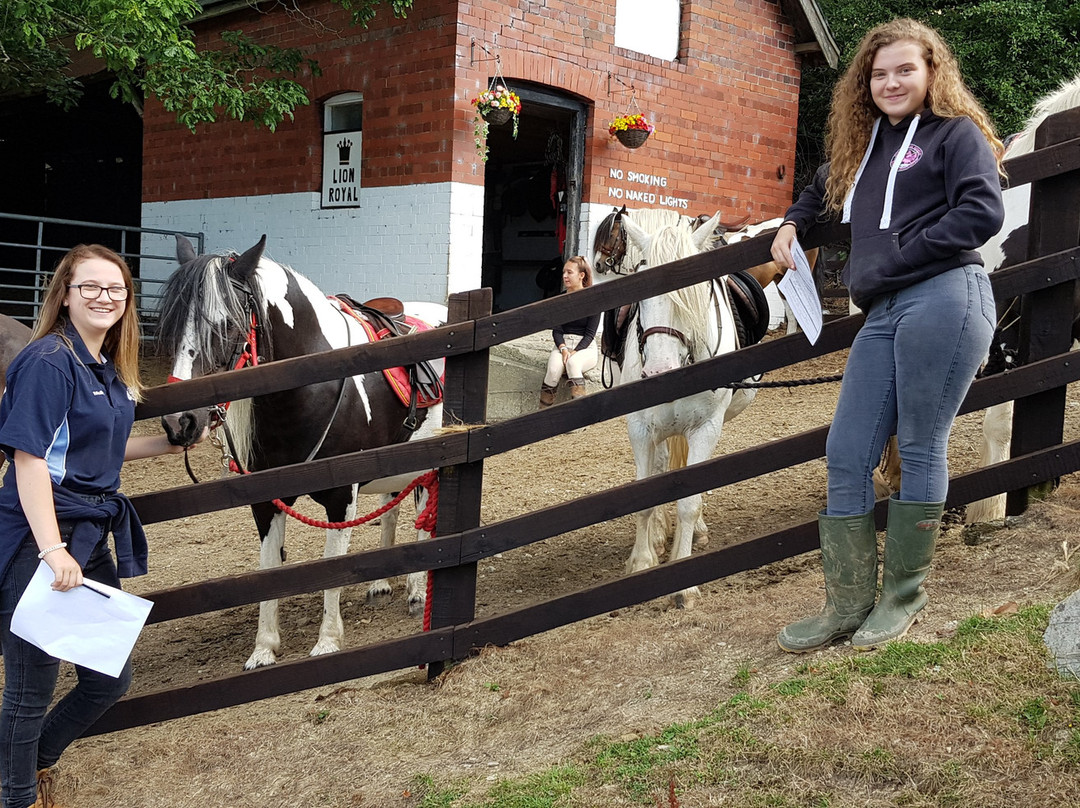 Pony Trekking by Lion Royal Hotel景点图片