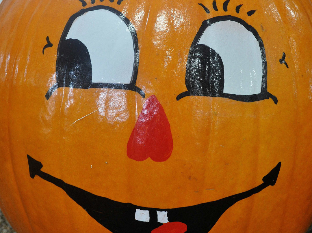 Pearce's Farm Stand-Walworth必去景点