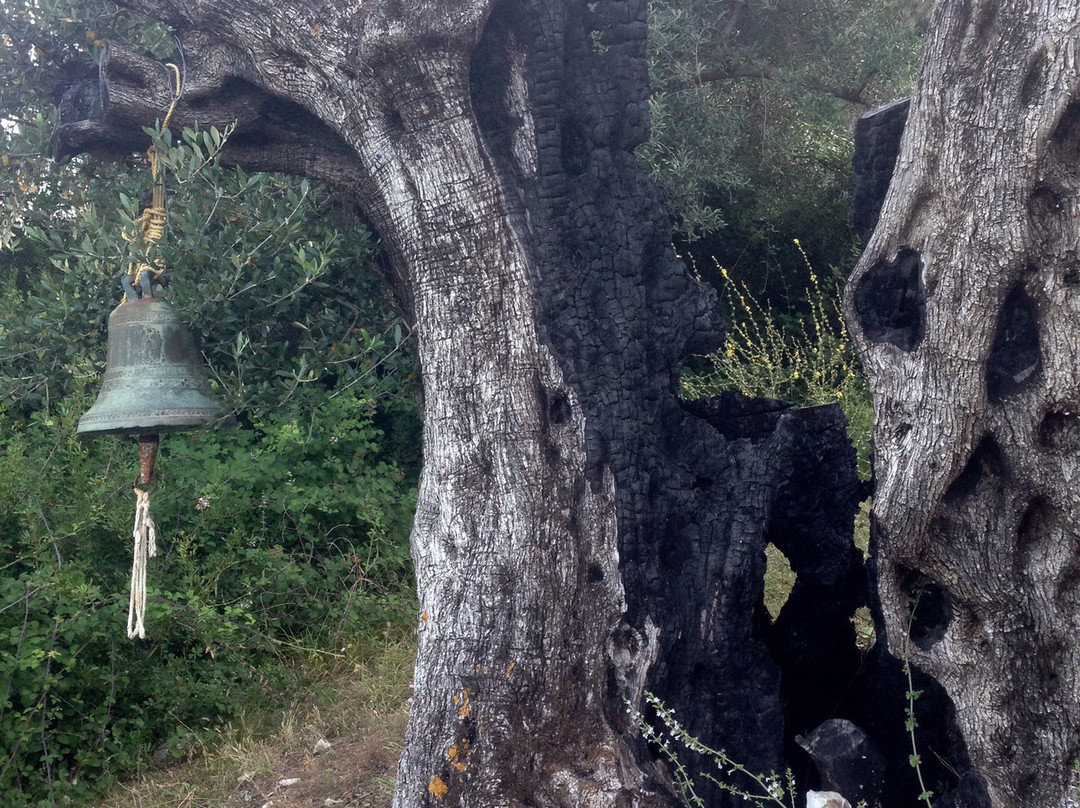 Words & Walks-Ithaca必去景点