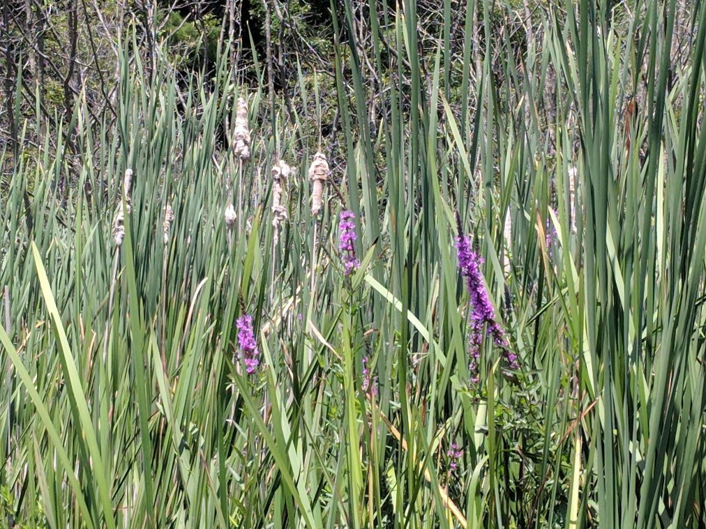 Pentwater Outfitters-Pentwater必去景点