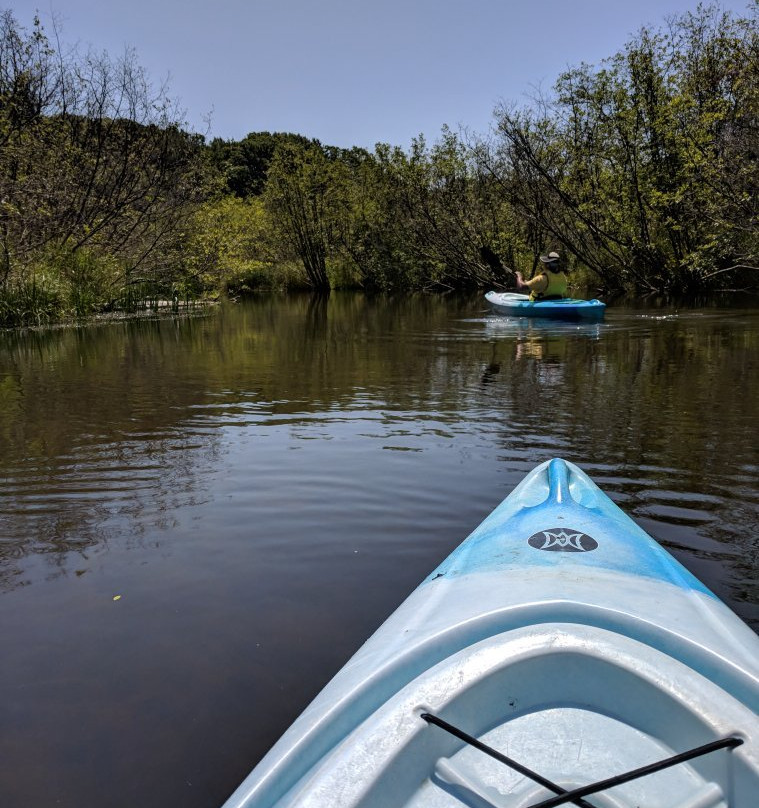 Pentwater Outfitters-Pentwater必去景点