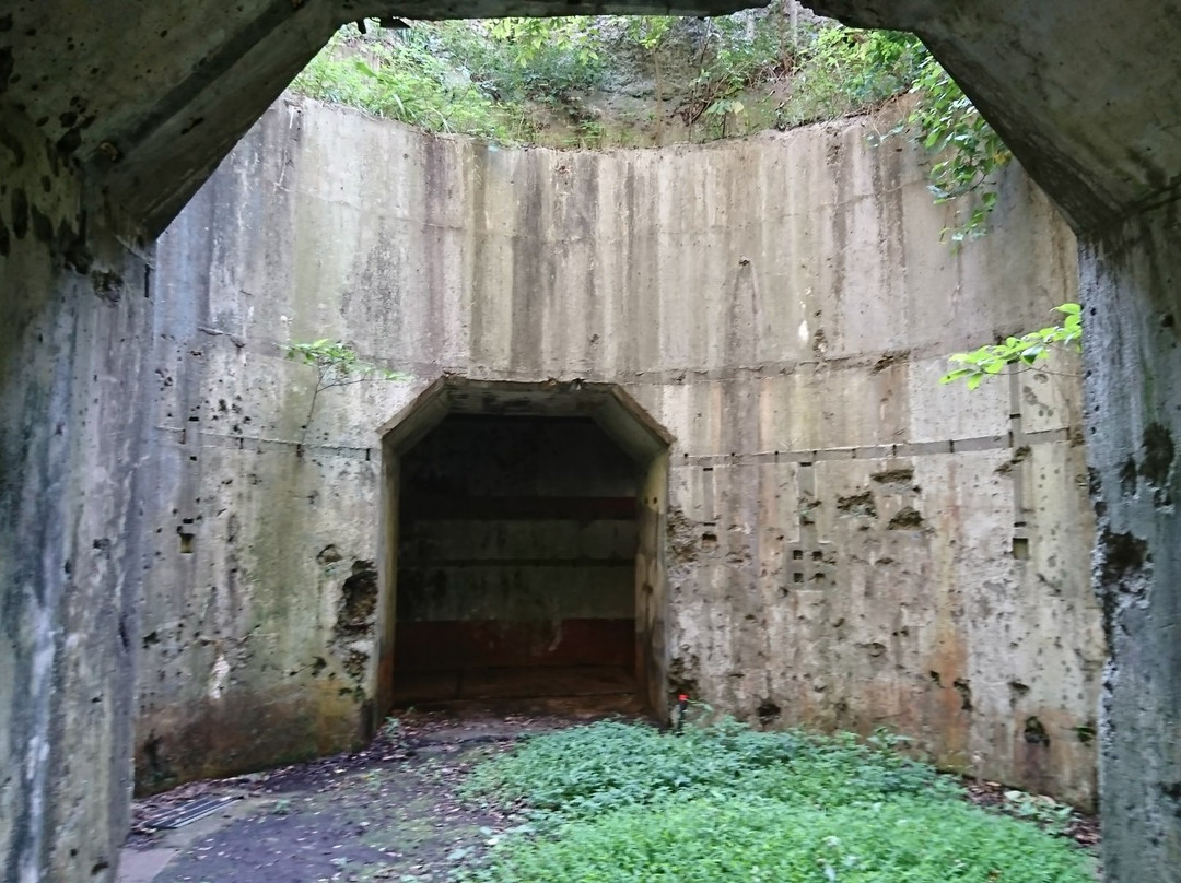 Toyo Battery Trace-对马市必去景点
