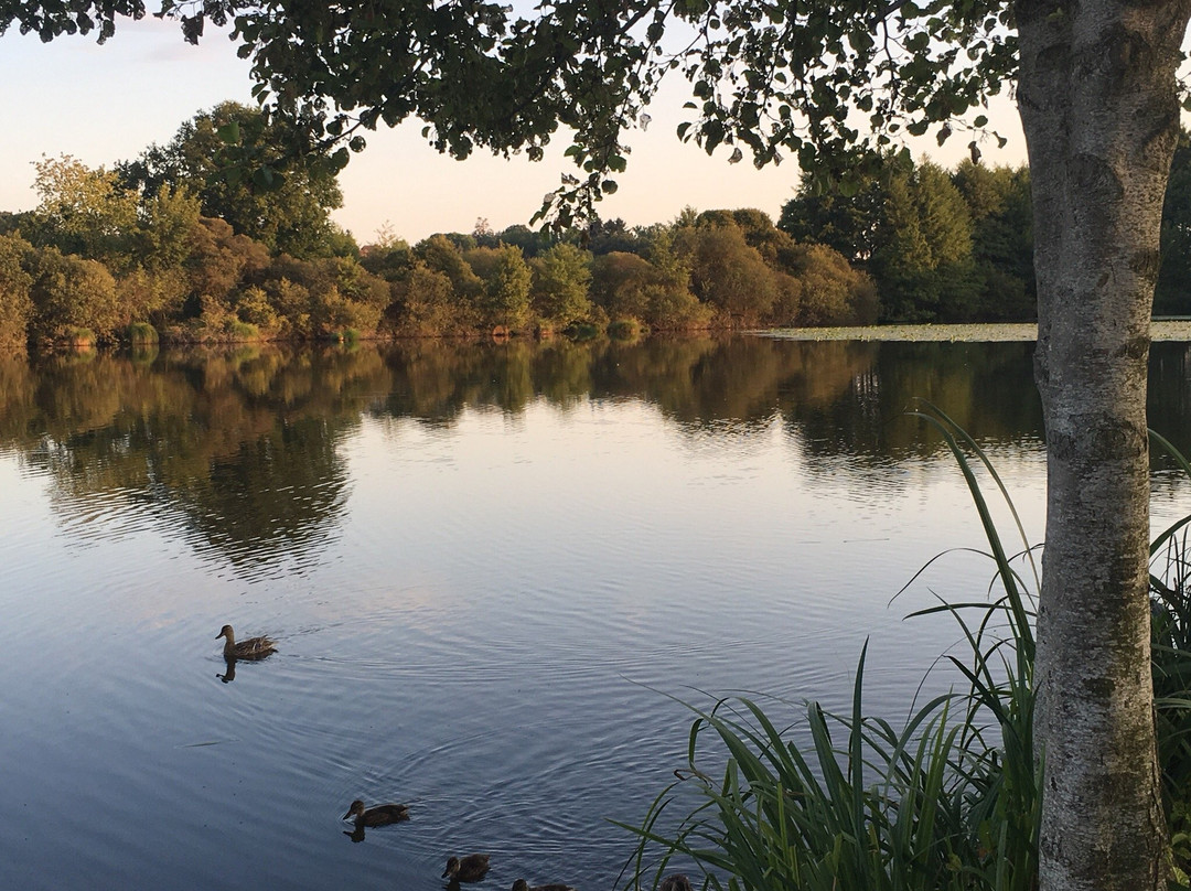 Camping Etang Merlin