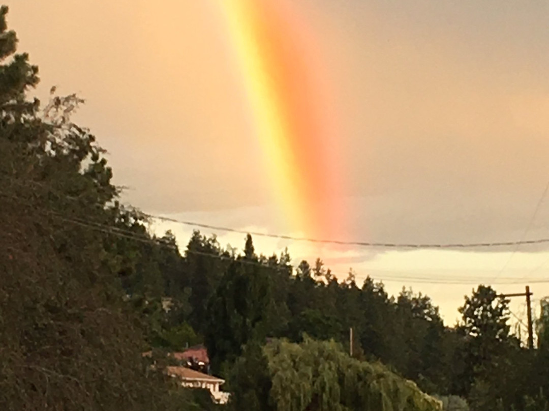 Singing Marmot Guest Suites主图