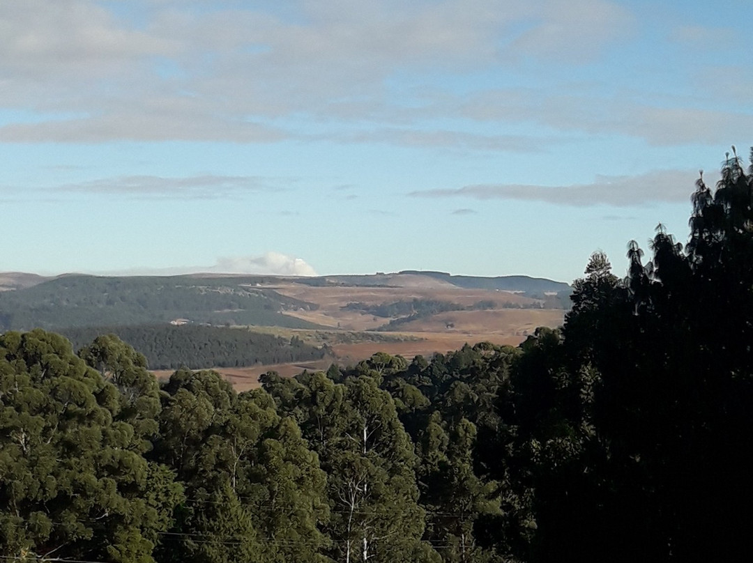 Arum Hill Lodge B&B主图