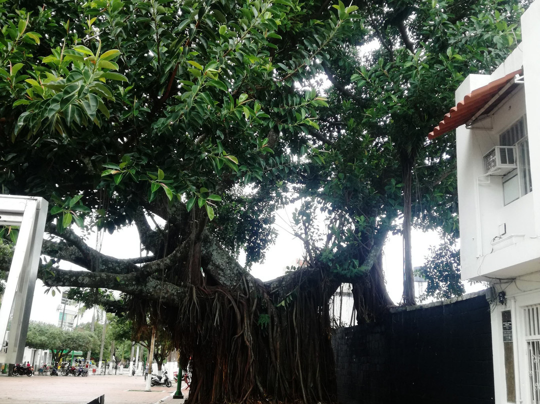 Hotel Arboleda主图