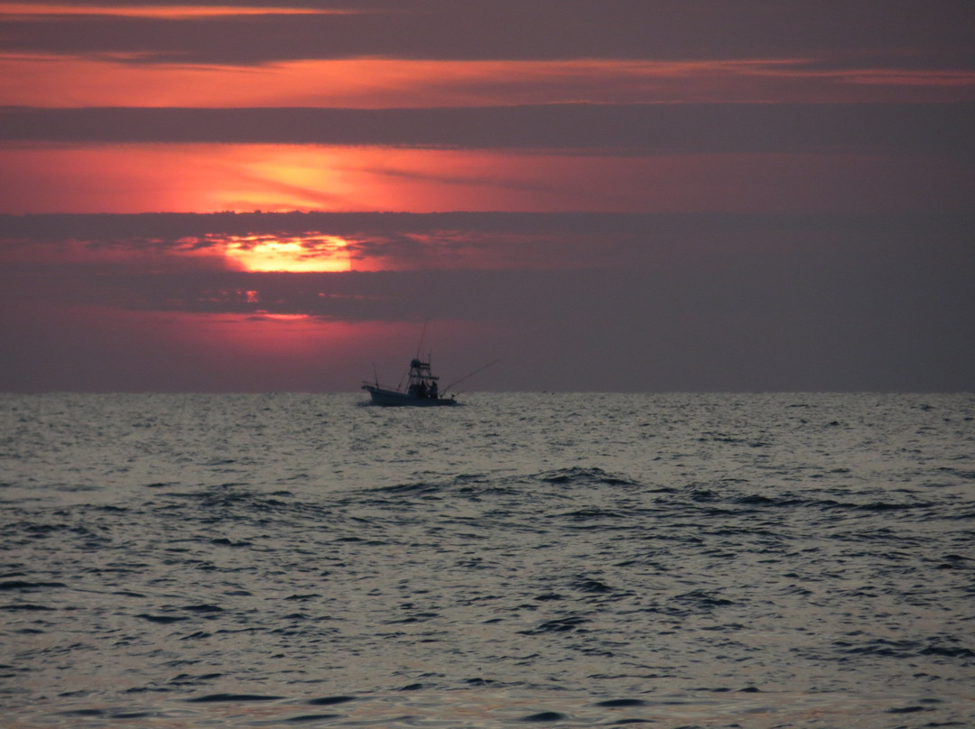 Charlotte Harbor Tours-恩格尔伍德必去景点