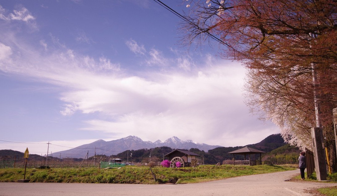 美味学校