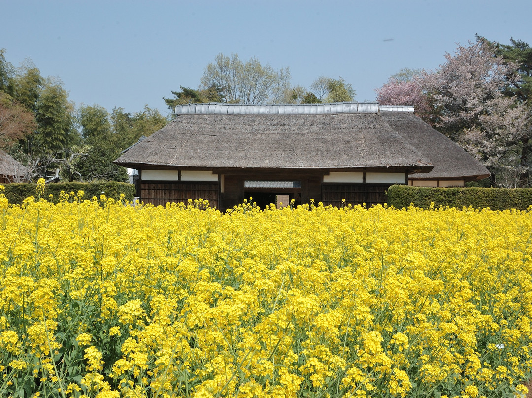 Chiba Prefectural Boso-no-Mura景点图片