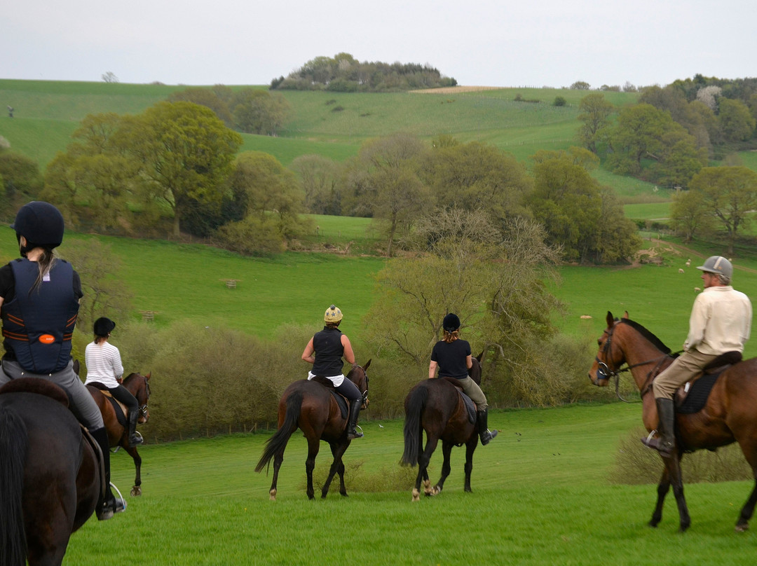 Slades Farm Equestrian Ltd景点图片