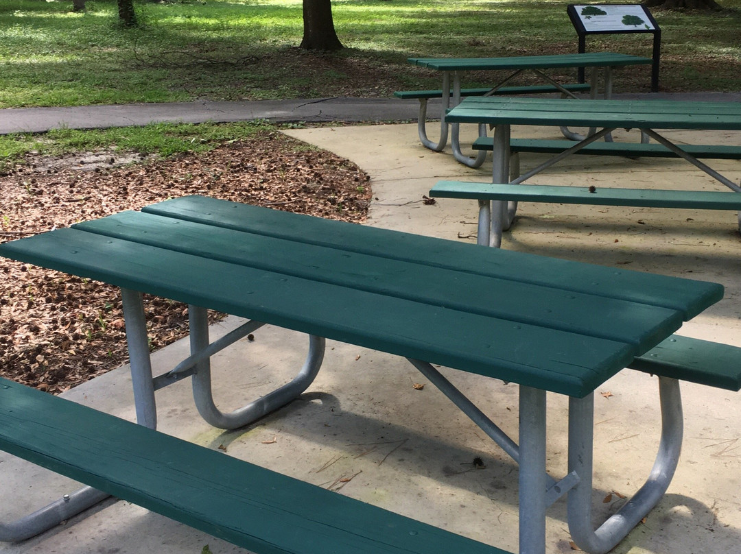 Scott Spring Park-奥卡拉必去景点