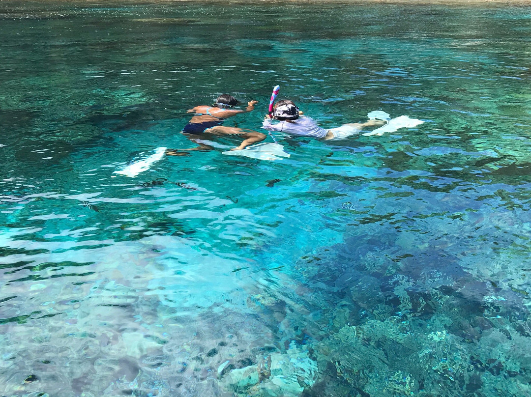 Anijima Seto Undersea Park-小笠原村必去景点