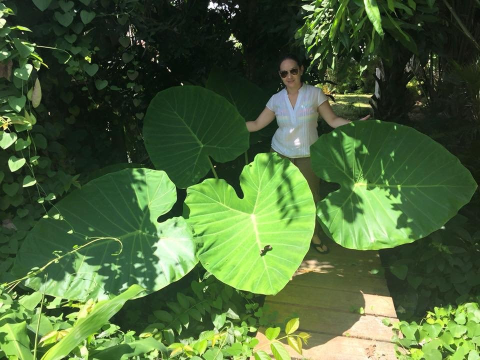 Jardin Exótico Kamala-佩雷拉必去景点