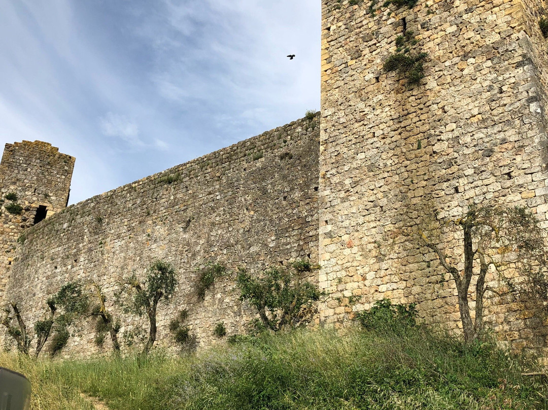 Fattoria Castello di Monteriggioni - Wine Shop景点图片