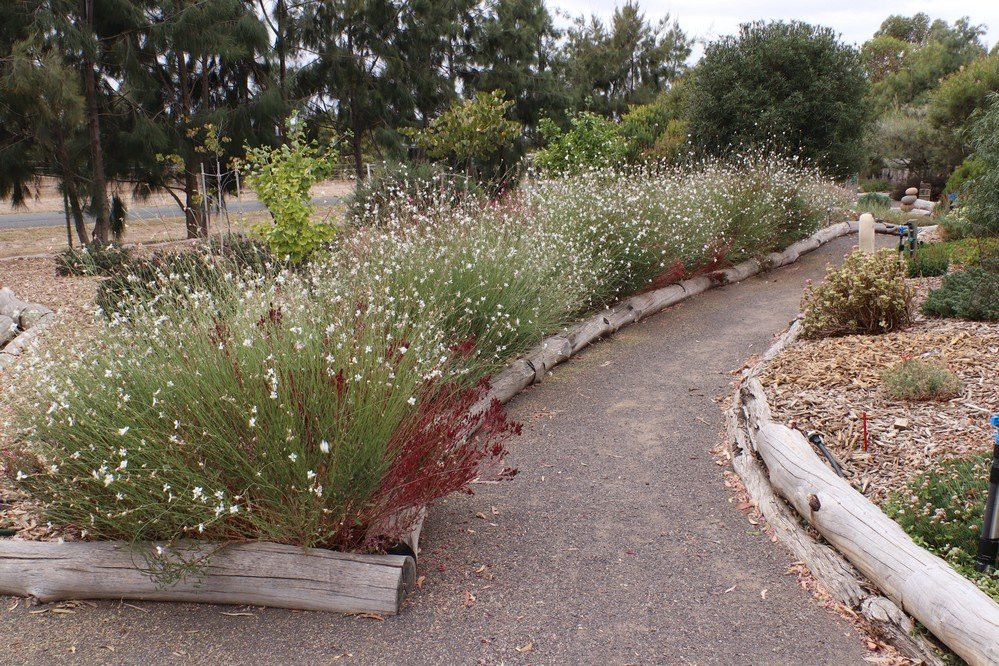 Yarrabee Native Garden景点图片