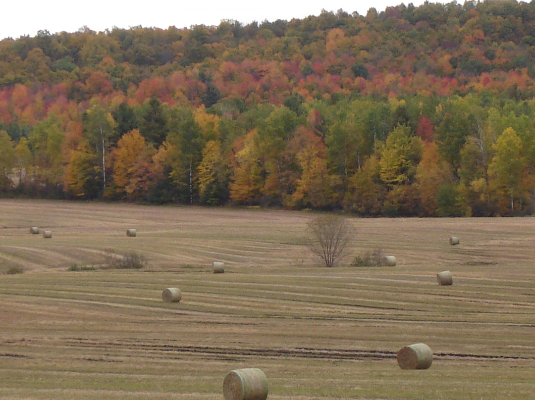 Auberge Des Trois Érables主图
