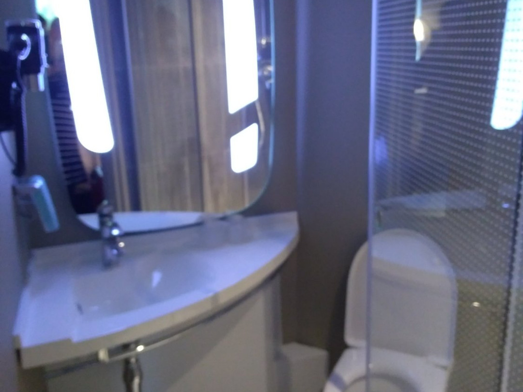 ibis Moscow Domodedovo Airport主图