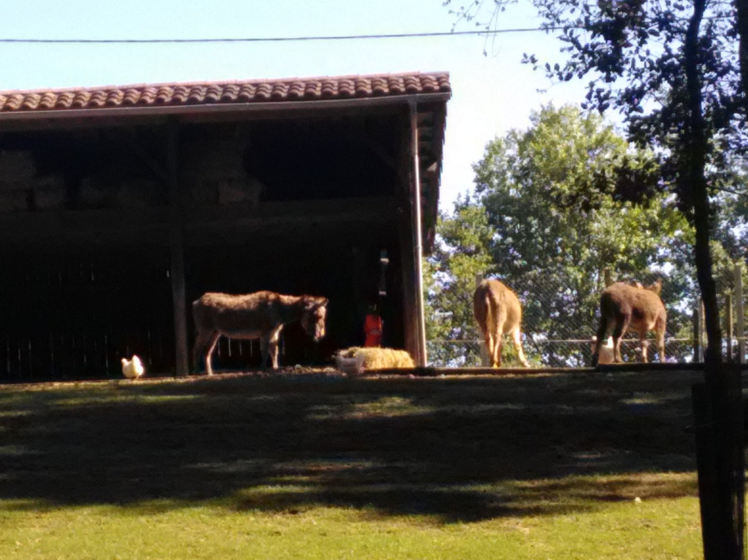 Parc Animalier De Nahuques景点图片